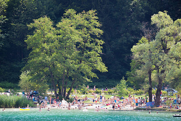 trees provide summer shade on crowded lakeside beach