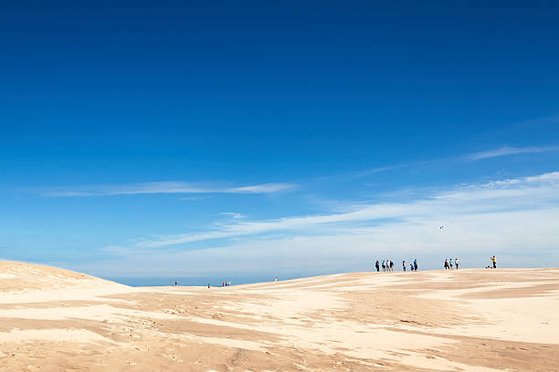 Dunes at the beach with Beachgrass during a beautiful summer day at the North Sea beach in Holland. The dunes form a natural protection against the sea for the low lands behind the sand hills.