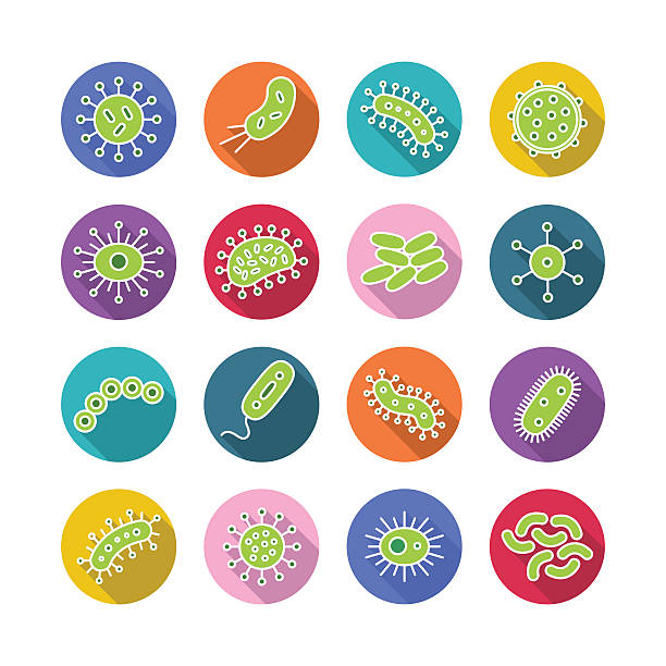 Germs and Bacteria Icon Set - vector illustration Germs and Bacteria Icon Set - vector illustration human cell animal cell healthcare and medicine abstract stock illustrations