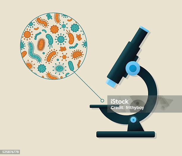 グリーンとオレンジ 細菌 で表示されている顕微鏡 - 顕微鏡のベクターアート素材や画像を多数ご用意 - 顕微鏡, バクテリア, 微生物学