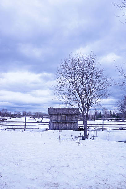 istock rural landscape in winter 525878160