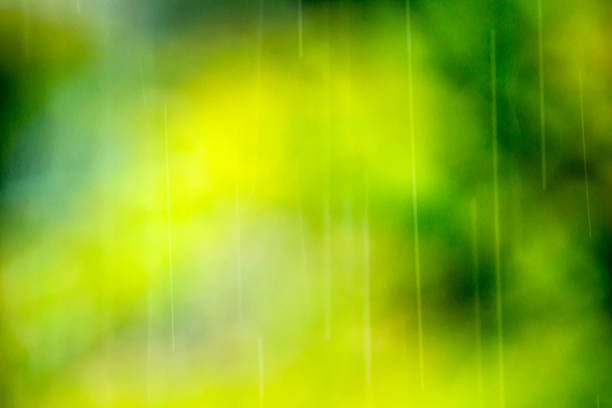 istock The track of rain 525878998