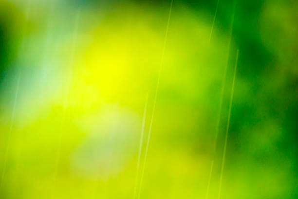 istock The track of rain 525879112