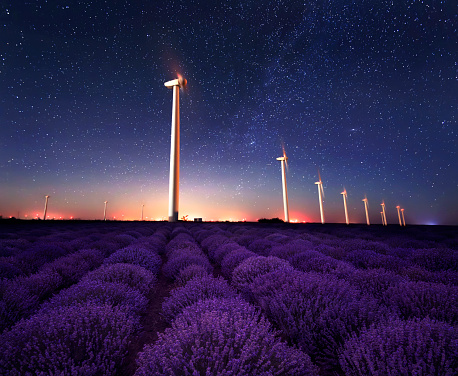 Night view of wind farm near а blooming lavender field in Northeastern Bulgaria