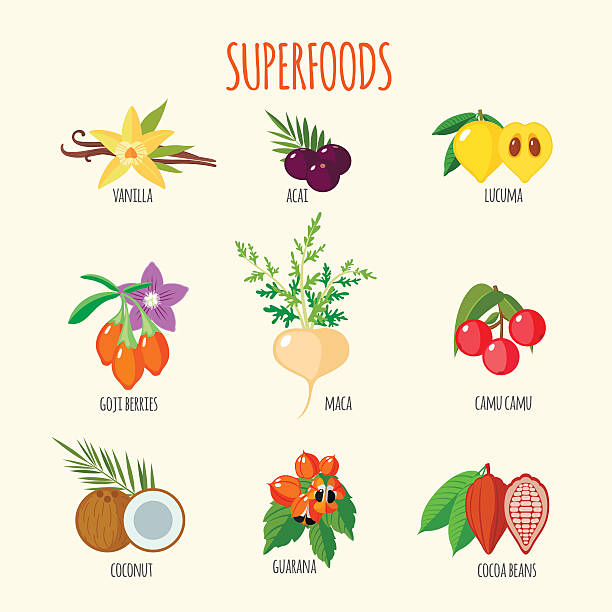 ilustrações, clipart, desenhos animados e ícones de conjunto de superalimentos em estilo plana - vector berry root leaf