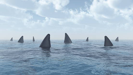 Computer generated 3D illustration with a group of great white sharks