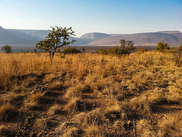 istock Loskop Nature Reserve 525882563