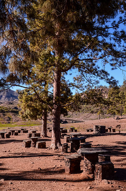 istock Picnic Recreational Area 525882842