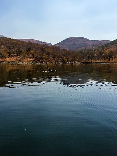 istock Loskop Nature Reserve 525883747