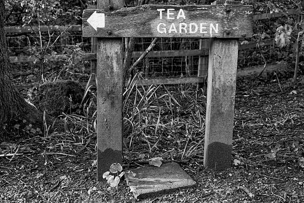 istock quintessentially English - Tea Rooms Sign 525883900