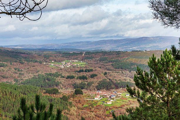 Aerial view of villages between forest and farmlands in Forcarei town
