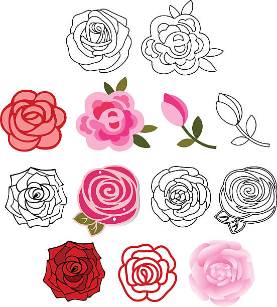 illustrations, cliparts, dessins animés et icônes de ensemble de roses avec feuilles - fleur à la boutonnière