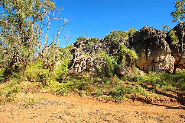 istock Geikie Gorge, Australia 525888064