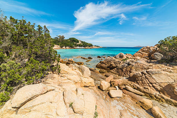 istock rocks and plants in Capriccioli beach 525888186