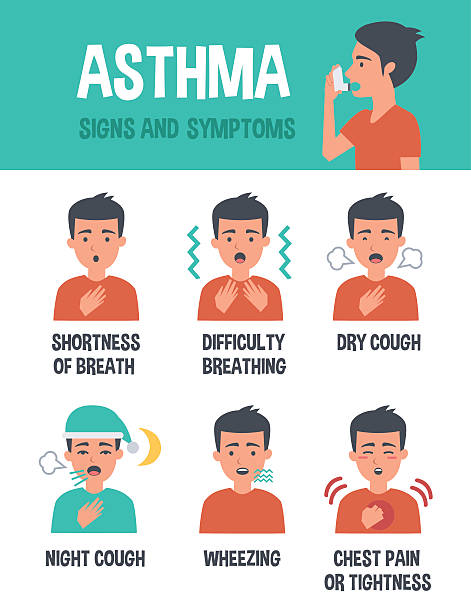 Asthma symptoms Asthma vector infographic. Asthma symptoms. Infographic elements. asma stock illustrations