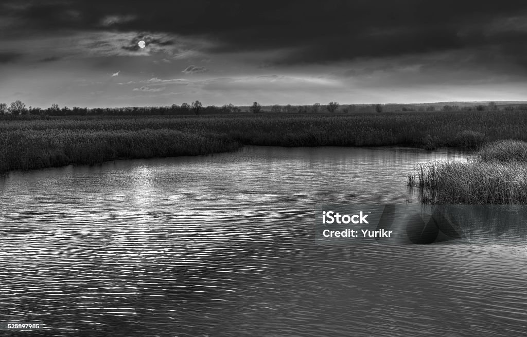 Sinister place on a river bank Arranging Stock Photo