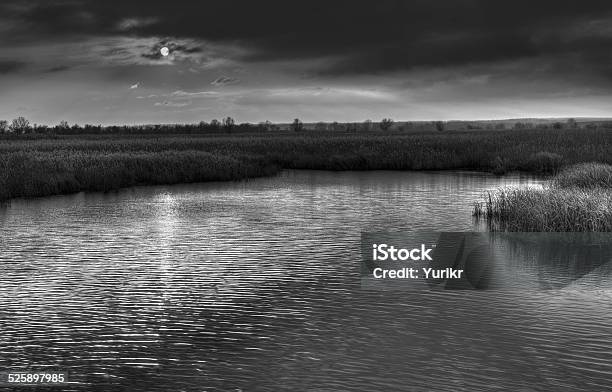 Sinister Place On A River Bank Stock Photo - Download Image Now - Arranging, Black And White, Black Color