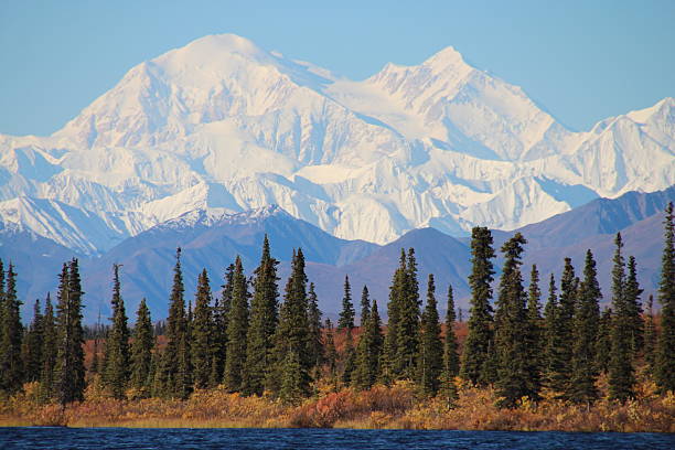 istock Mount McKinley, Denali National Park 525898627