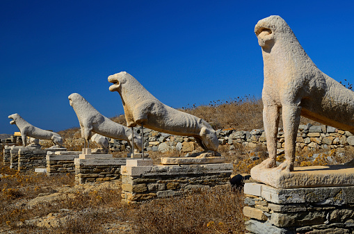 The stone lions were built around 600 BC by the people of Naxos in honor of the god Apollo. The lions are faced East towards the Sacred Lake of Delos where Greek scholars of the time believed Apollo had been born'