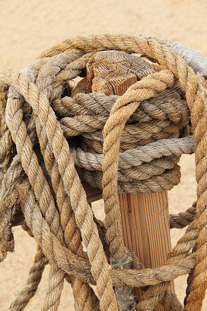 istock Lasso Rope Cowboy 525900249