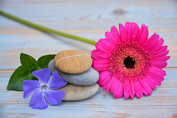 istock Three zen stones with flowers on a wooden background 525900555