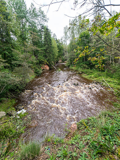istock view to the Mountain river with Flowing Water 525912813