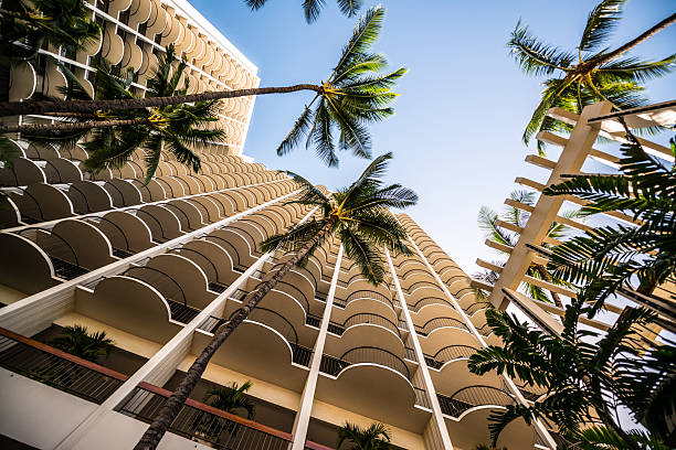 пляж отеля и пальмы - built structure building exterior architecture waikiki стоковые фото и изображения