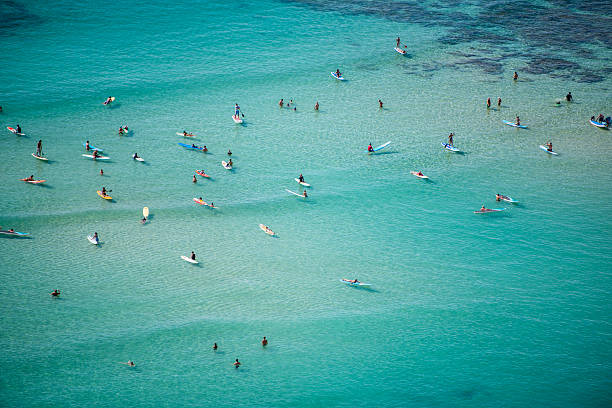 activités aquatiques sur la plage de waikiki - waikiki beach photos et images de collection