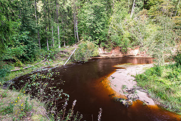 istock view to the Mountain river with Flowing Water 525914943