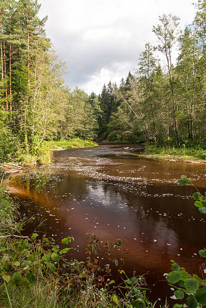 istock view to the Mountain river with Flowing Water 525914947