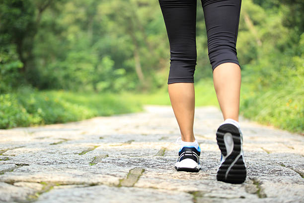 istock hiker legs hiking on stone trail 525915309