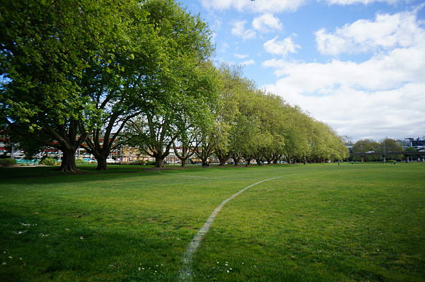 istock Victoria Park in Auckland 525915863