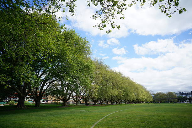 istock Victoria Park in Auckland 525915865