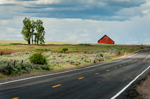 An isolated red barn seen along Highway 2 in the Palouse area of eastern Washington State. This is an area of heavy agricultural use blending with sagebrush and prairie grasses.