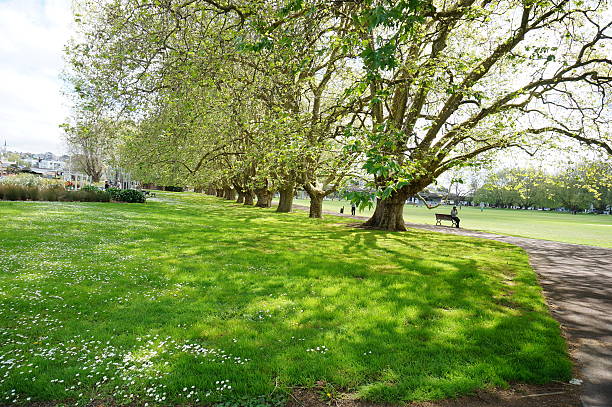 October 13, 2014  Victoria Park is a park and sports ground in Auckland City, New Zealand, it was opened in 1905 and named after the late Queen who had died four years earlier. It lies on reclaimed bay land in Freemans Bay, a suburb directly west of the Auckland CBD
