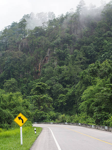 Strada nella foresta pluviale - foto stock