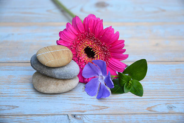 istock Three Zen stones on a wooden background with flowers 525936655