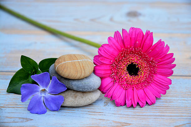 istock Three zen stones on a wooden background with flowers 525936657