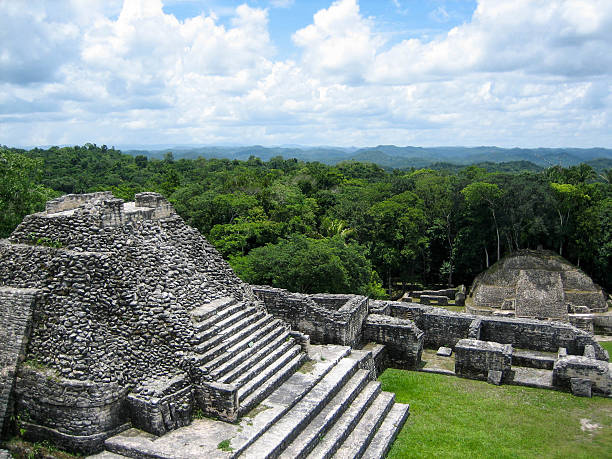 Mayan pyramid and jungle at Caracol Taken at Caracol in Belize, near the border with Guatemala caracol belize stock pictures, royalty-free photos & images