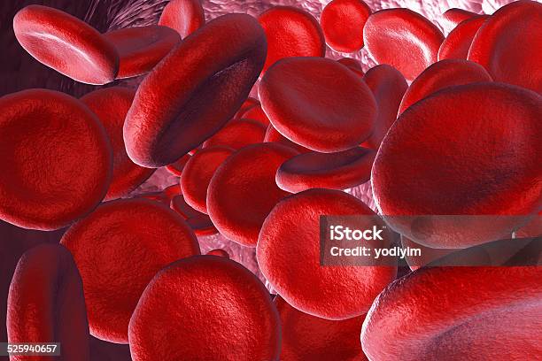 3d Render Red Blood Cells Background Stock Photo - Download Image Now - Anatomy, Animal Blood, Animal Body