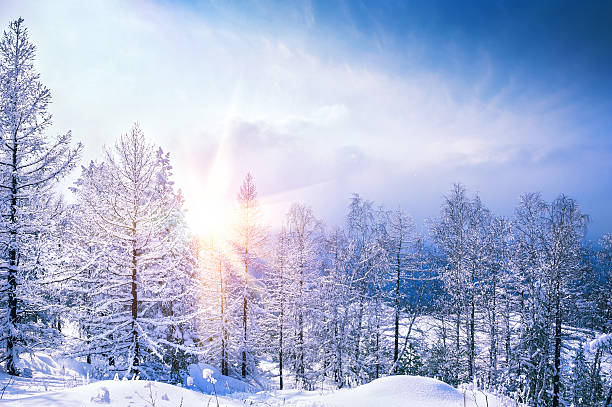istock Beautiful winter landscape 525941927