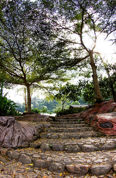 istock Rock stair in the garden 525942671
