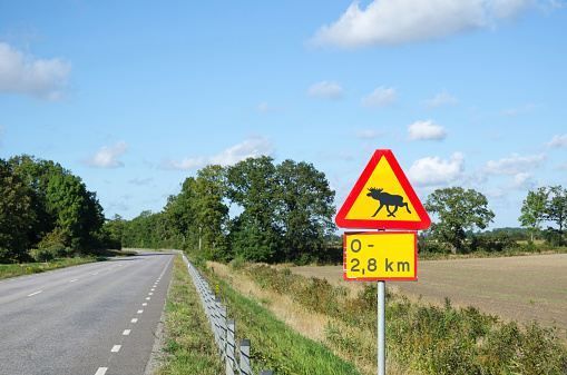 Moose warning roadsign in a rural swedish landscape