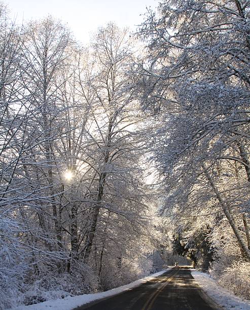 istock Driving A Snowy Country Road 525952939