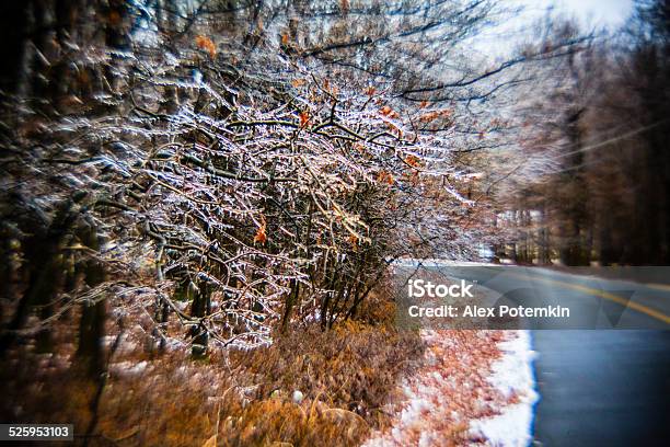 Trees Covered By Ice After The Freezing Rain Stock Photo - Download Image Now - Appalachia, Appalachian Mountains, Appalachian Trail