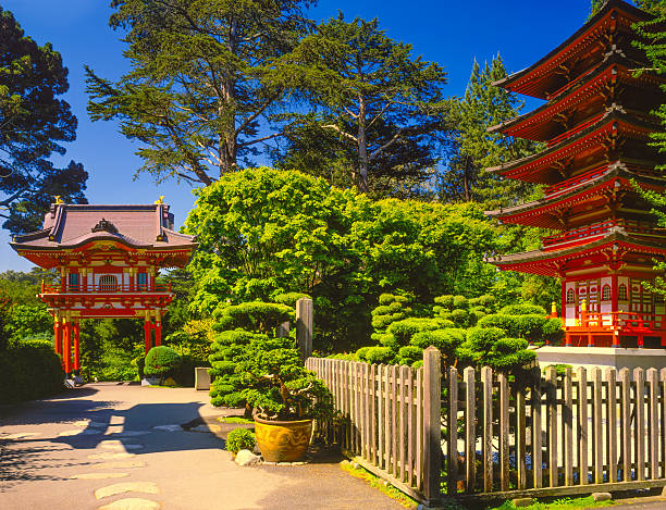 parque golden gate público jardim japonês san francisco, ca - japanese culture landscape landscaped ornamental garden imagens e fotografias de stock
