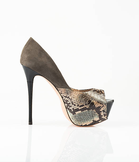 istock Fashionable women shoe 525953493