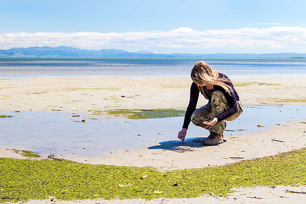istock Young woman collects shells on the beach 525955058