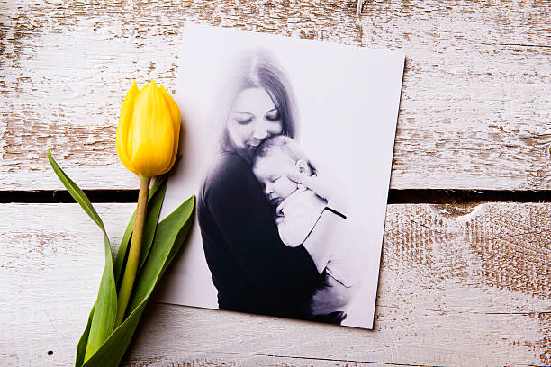 istock Mothers day composition. Black-and-white picture and yellow tuli 525958592