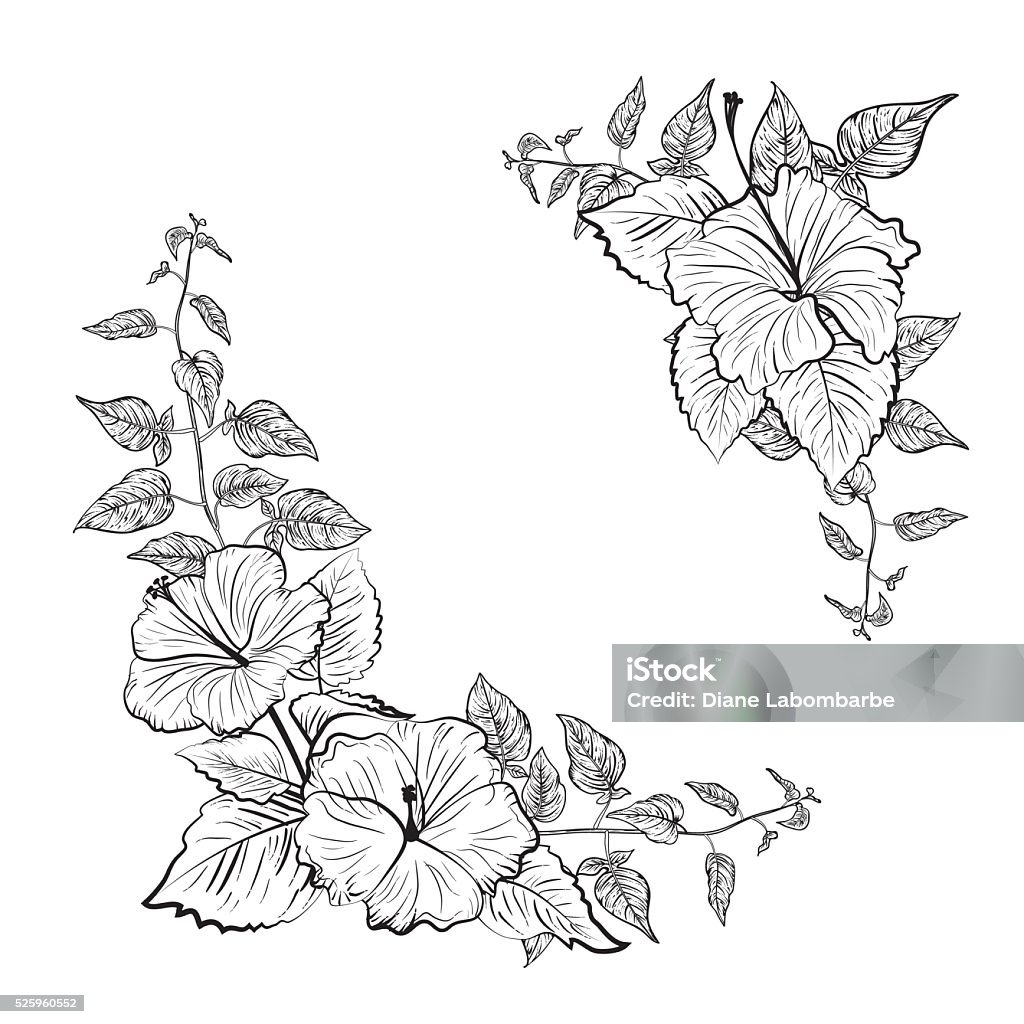 Black and White Tropical Hibiscus Floral Frame Tropical Hibiscus Floral Frame with leaves ornaments in Black and White. Room in the center for your text or image. Flower stock vector